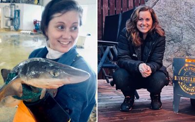 Hold på å få øynene ødelagt av fiskegalle