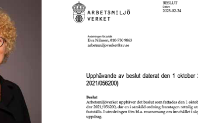 Skyddsombud har rätt att företräda enskilda