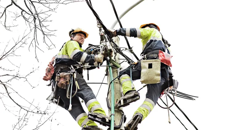 hoyspentmast_arb_00030_1920-1
