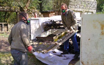 Dåliga kunskaper hos asbestsanerare trots utbildningsbevis